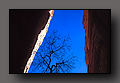 'Silhouetted'
Long Canyon, UT   Nov-03